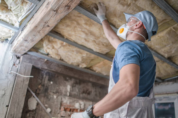 Best Cellulose Insulation in Mechanicville, NY