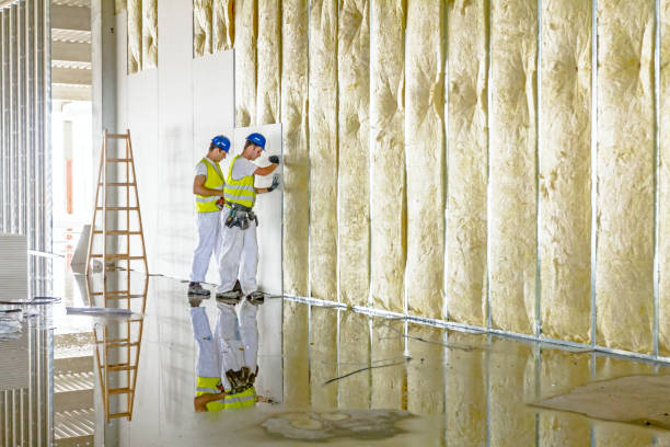 Best Specialized Insulation Services in Mechanicville, NY